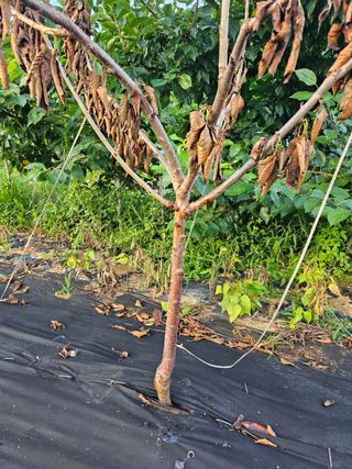 김평준님의 자유주제 · 자유게시판 작성글 사진