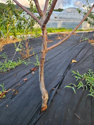 김평준님의 자유주제 · 자유게시판 작성글 사진