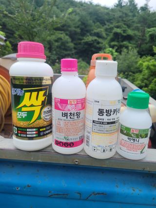 신상범님의 벼 · 영농일지 작성글 사진