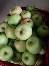 팜모닝 자유주제·자유게시판 게시글 이미지