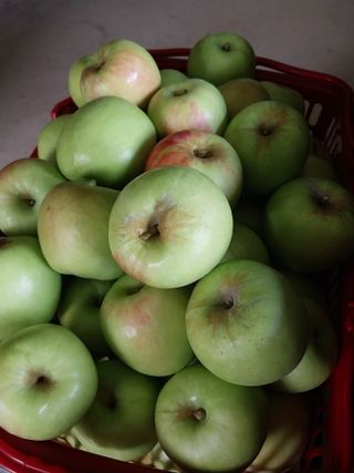 시골살이님의 자유주제 · 자유게시판 작성글 사진