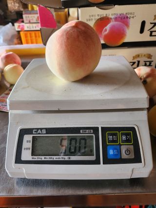 ok 체험학습농원님의 복숭아 · 영농일지 작성글 사진