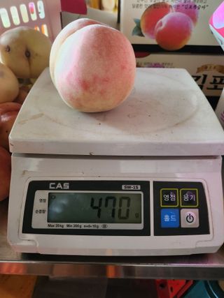 ok 체험학습농원님의 복숭아 · 영농일지 작성글 사진