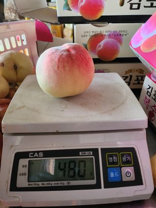 ok 체험학습농원님의 복숭아 · 영농일지 작성글 사진