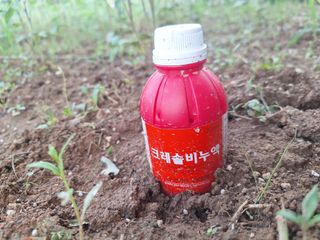 휴심정님의 콩 · 자유게시판 작성글 사진