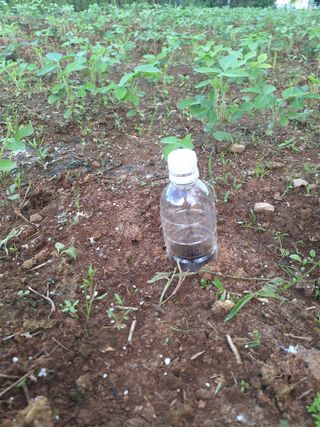 휴심정님의 콩 · 자유게시판 작성글 사진