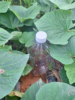 휴심정님의 콩 · 자유게시판 작성글 사진