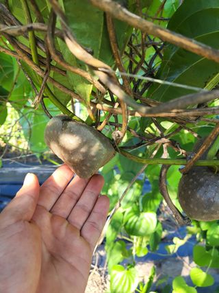 김영진(전남영광)님의 자유주제 · 자유게시판 작성글 사진