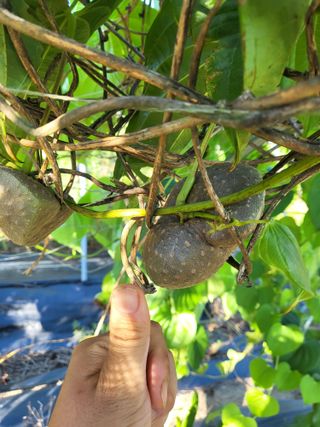 김영진(전남영광)님의 자유주제 · 자유게시판 작성글 사진