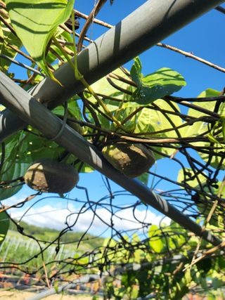 김영진(전남영광)님의 자유주제 · 자유게시판 작성글 사진