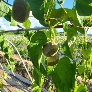 김영진(전남영광)님의 자유주제 · 자유게시판 작성글 사진