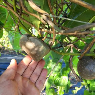 김영진(전남영광)님의 자유주제 · 자유게시판 작성글 사진