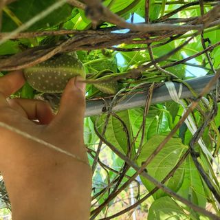 김영진(전남영광)님의 자유주제 · 자유게시판 작성글 사진