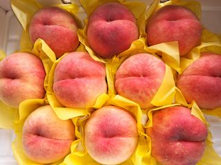 조명희님의 🌧️7월 내 작물 자랑하기·참여글 작성글 사진