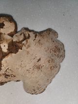 팜모닝 자유주제·자유게시판 게시글 이미지