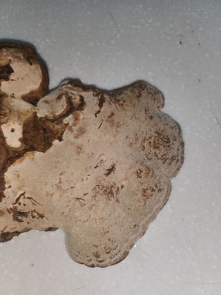 윤정숙님의 자유주제 · 자유게시판 작성글 사진