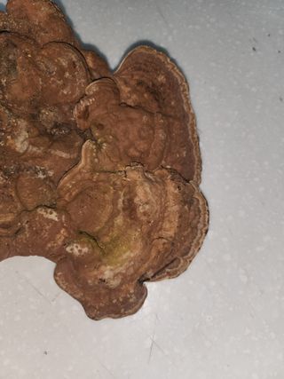 윤정숙님의 자유주제 · 자유게시판 작성글 사진