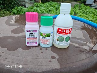 오세화님의 포도 · 영농일지 작성글 사진