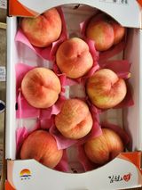 팜모닝 🌧️7월 내 작물 자랑하기·참여글 게시글 이미지