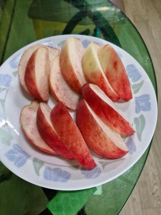 이주농원님의 자유주제 · 자유게시판 작성글 사진