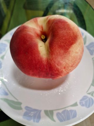 이주농원님의 자유주제 · 자유게시판 작성글 사진