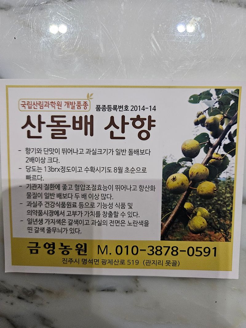 장터 상품 [돌배(신품종)산향10kg] 썸네일