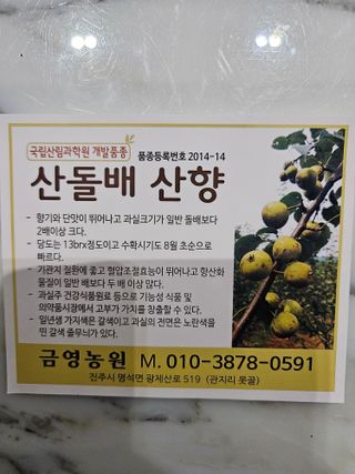 금영님의 작성글 사진