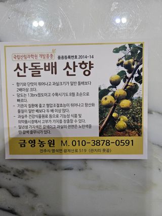 금영님의 작성글 사진