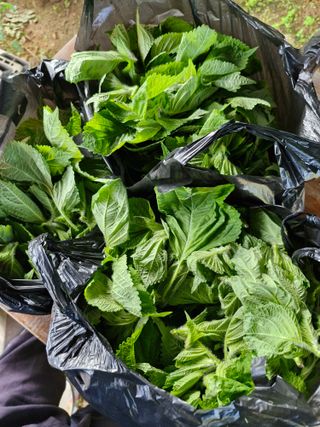 정석구님의 자유주제 · 자유게시판 작성글 사진