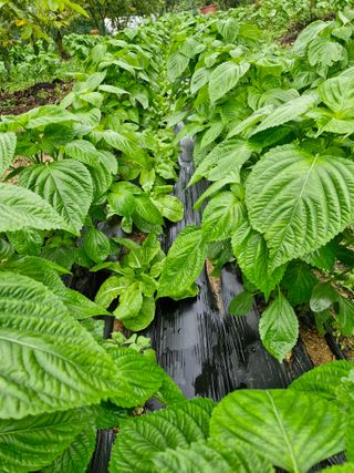 정석구님의 자유주제 · 자유게시판 작성글 사진