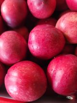 팜모닝 복숭아·영농일지 게시글 이미지