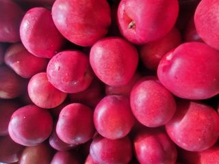 둥근마지기님의 복숭아 · 영농일지 작성글 사진