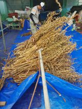 팜모닝 참깨·영농일지 게시글 이미지