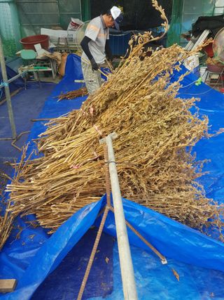 백봉2리밭농사곡식님의 참깨 · 영농일지 작성글 사진