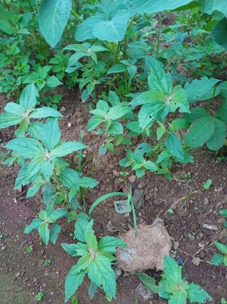 이종선님의 자유주제 · 건의해요 작성글 사진