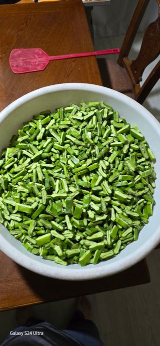 에바다님의 콩 · 영농일지 작성글 사진