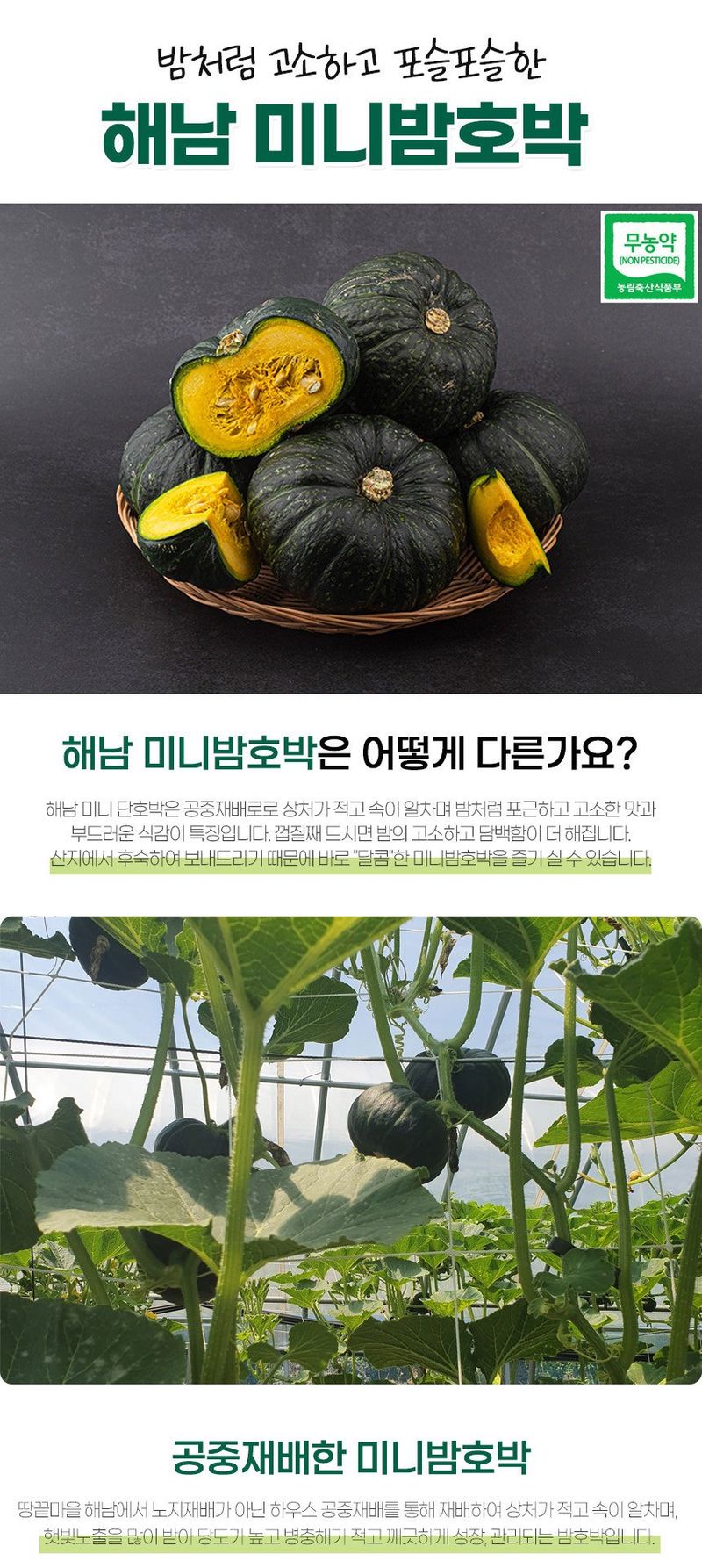 초록미소 금호농장님의 장터 판매 상품 [[품절] 해남 친환경 무농약 미니밤호박 보우짱 2kg 4kg를 판매합니다.] 첨부 사진