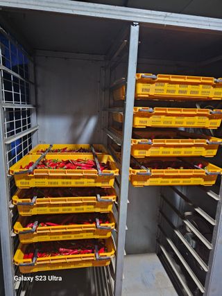 마실농원(천안)님의 고추 · 영농일지 작성글 사진