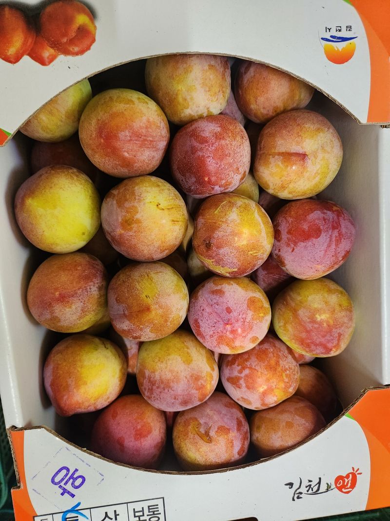 장터 상품 [도담자두 3kg] 썸네일