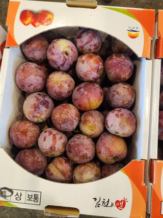 김육환님의 작성글 사진