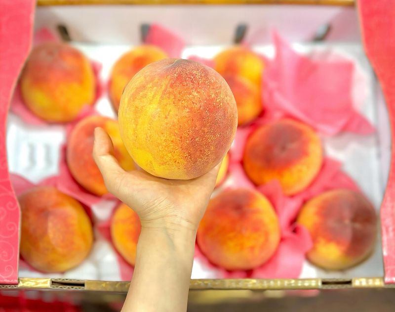 농부손녀님의 장터 판매 상품 [[인기상품] 황금알 황도 복숭아 4kg ] 첨부 사진