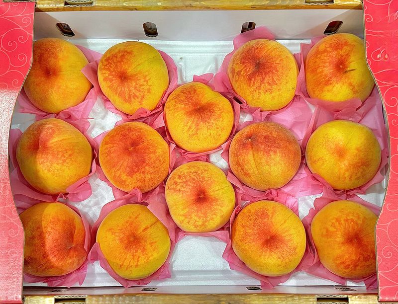 농부손녀님의 장터 판매 상품 [[인기상품] 황금알 황도 복숭아 4kg ] 첨부 사진