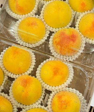 농부손녀님의 작성글 사진