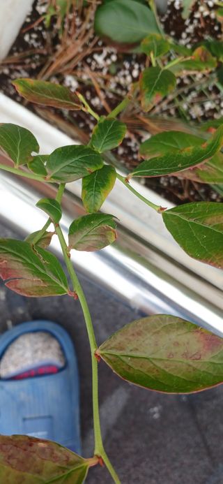 K1588님의 자유주제 · 자유게시판 작성글 사진