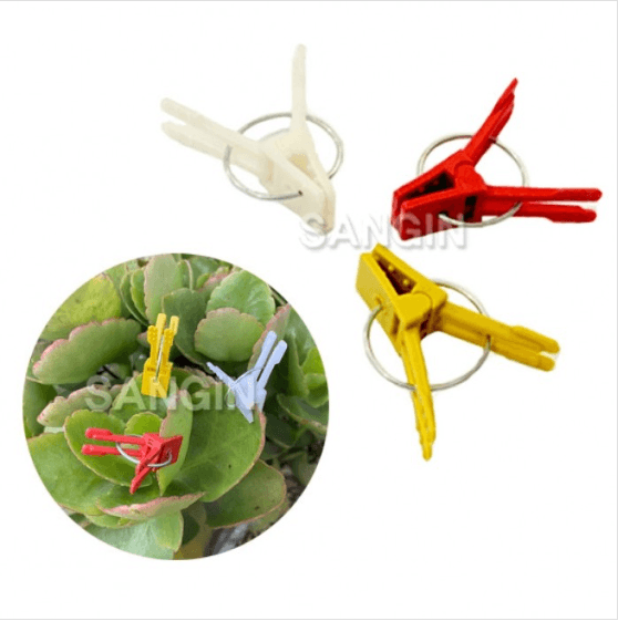 장터 상품 [접목집게(20개/1봉500개입) 접목크립 상인농자재] 썸네일