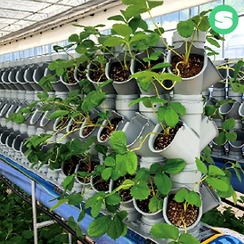 장터 상품 [수직재배화분세트 원예 육모 포트 딸기 상인농자재] 썸네일