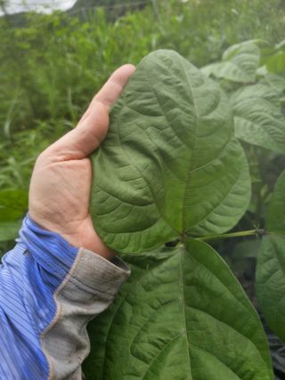 farmer님의 자유주제 · 자유게시판 작성글 사진
