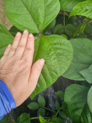 farmer님의 자유주제 · 자유게시판 작성글 사진