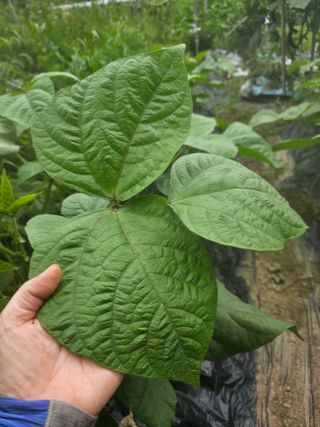 farmer님의 자유주제 · 자유게시판 작성글 사진