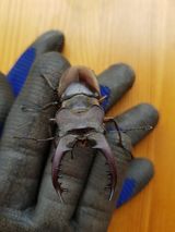 팜모닝 자유주제·자유게시판 게시글 이미지